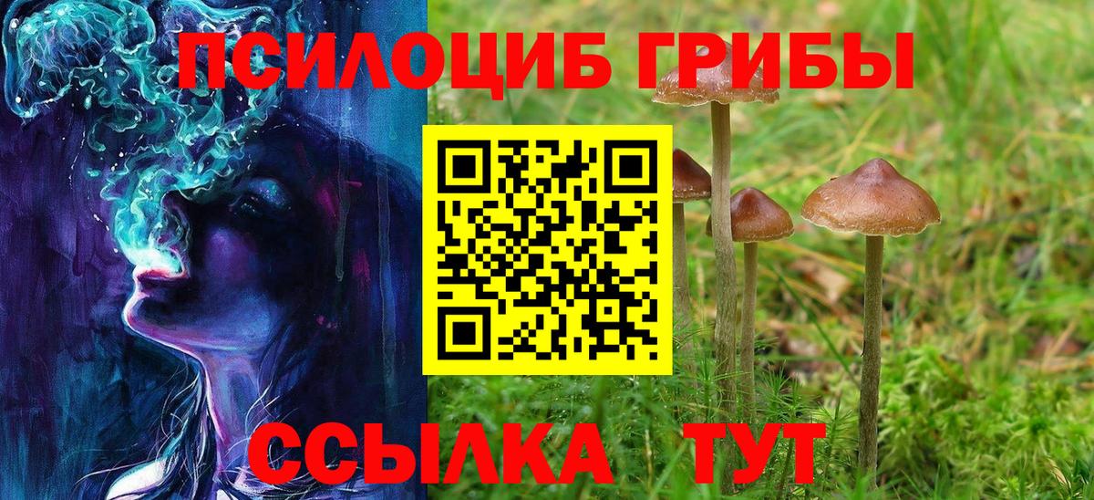 Галлюциногенные грибы прущие грибы  Псилоцибиновые грибы GOLDEN TEACHER  Кинель  Вход с VPN 