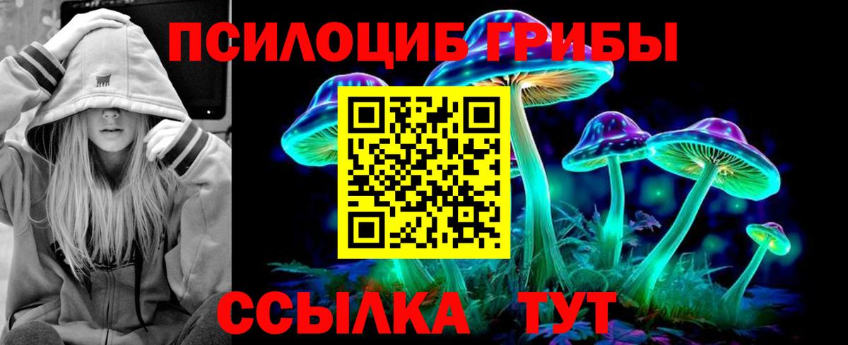 Галлюциногенные грибы MAGIC MUSHROOMS Кинель